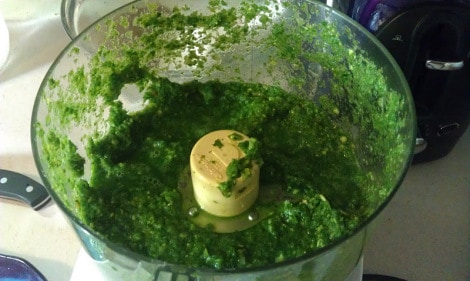 Low Amine Cilantro Chutney (photo)