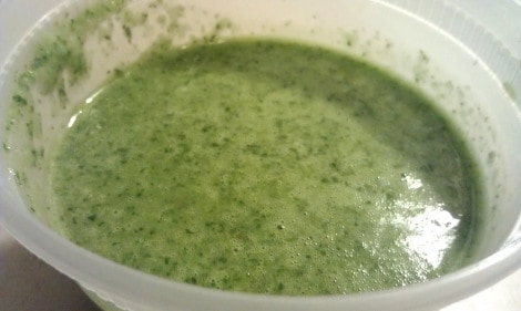 Cilantro Dressing & Marinade photo