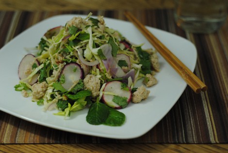 Larb Gai (Thai Chicken Salad) (low-amine, gluten-free, soy-free, dairy-free, nut-free, fish-free, shellfish-free, paleo, low-fat, low-carb) photo